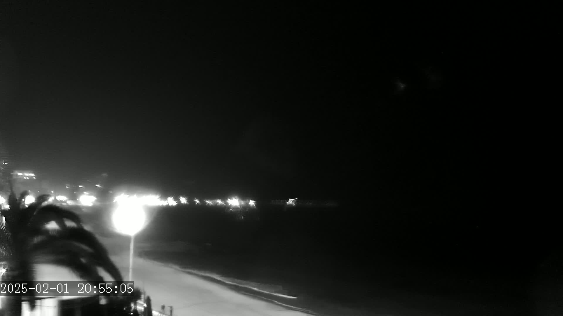 A nighttime view of a beach at night, with lights visible along the shoreline and palm trees in the foreground.