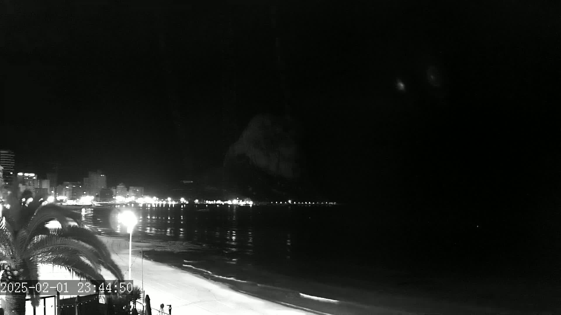 A nighttime view of a beach with a city skyline in the background under a dark, clear sky.