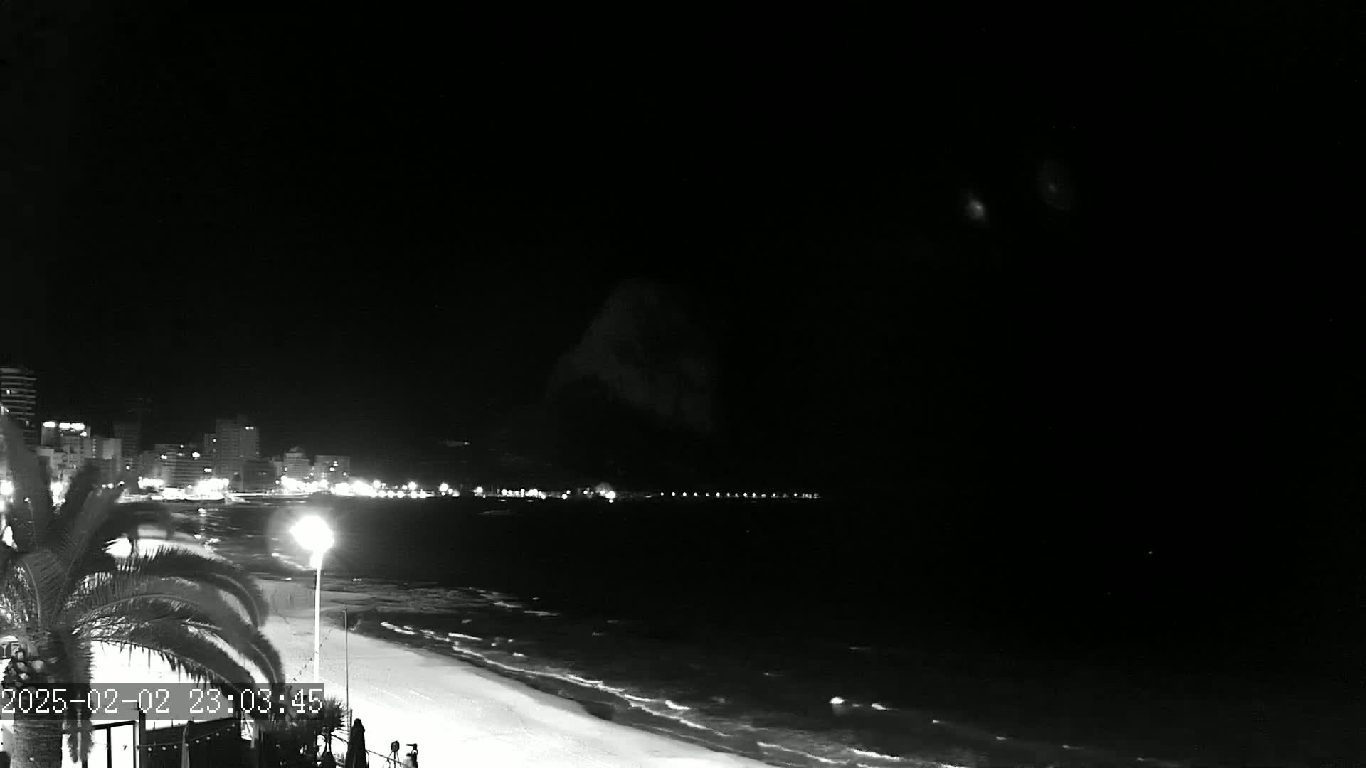 A nighttime, black and white view of a city skyline and beach with gently lapping waves under a clear sky.