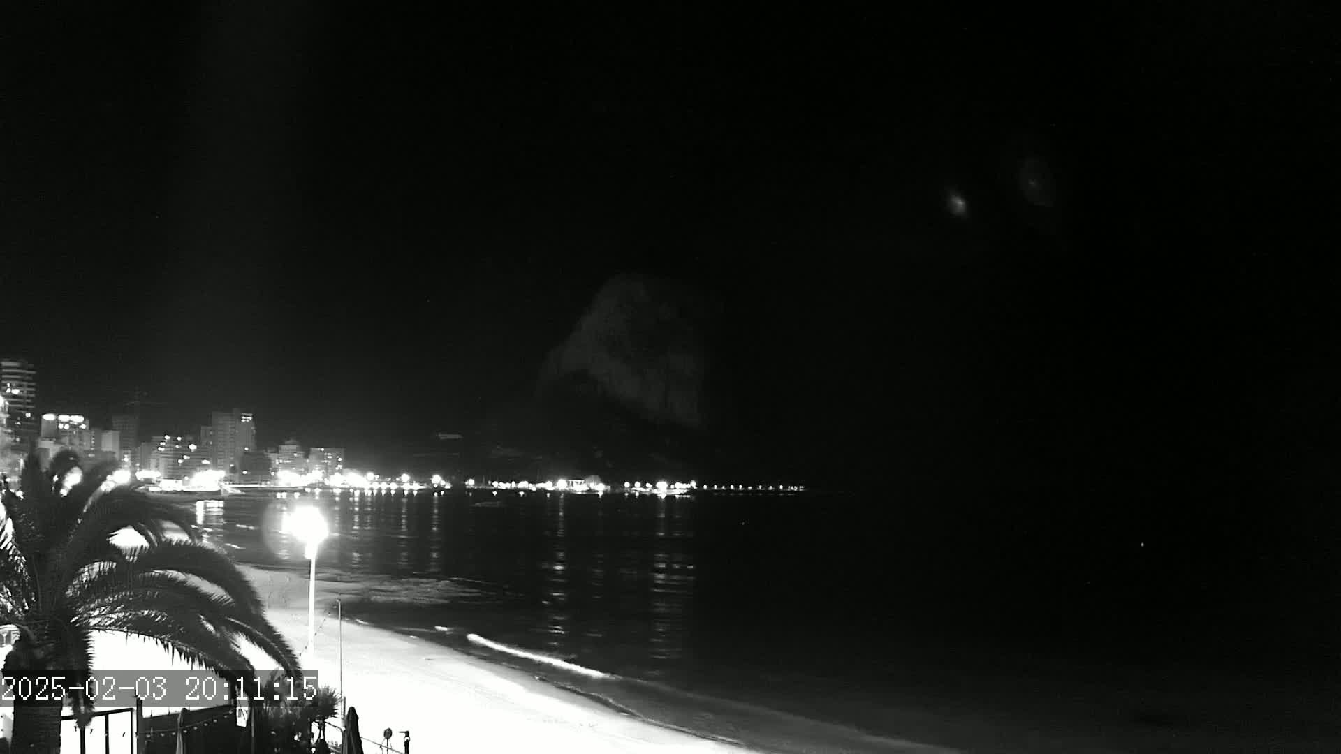 A nighttime, low-light view shows a calm beach with a city skyline across the water, under a dark sky.
