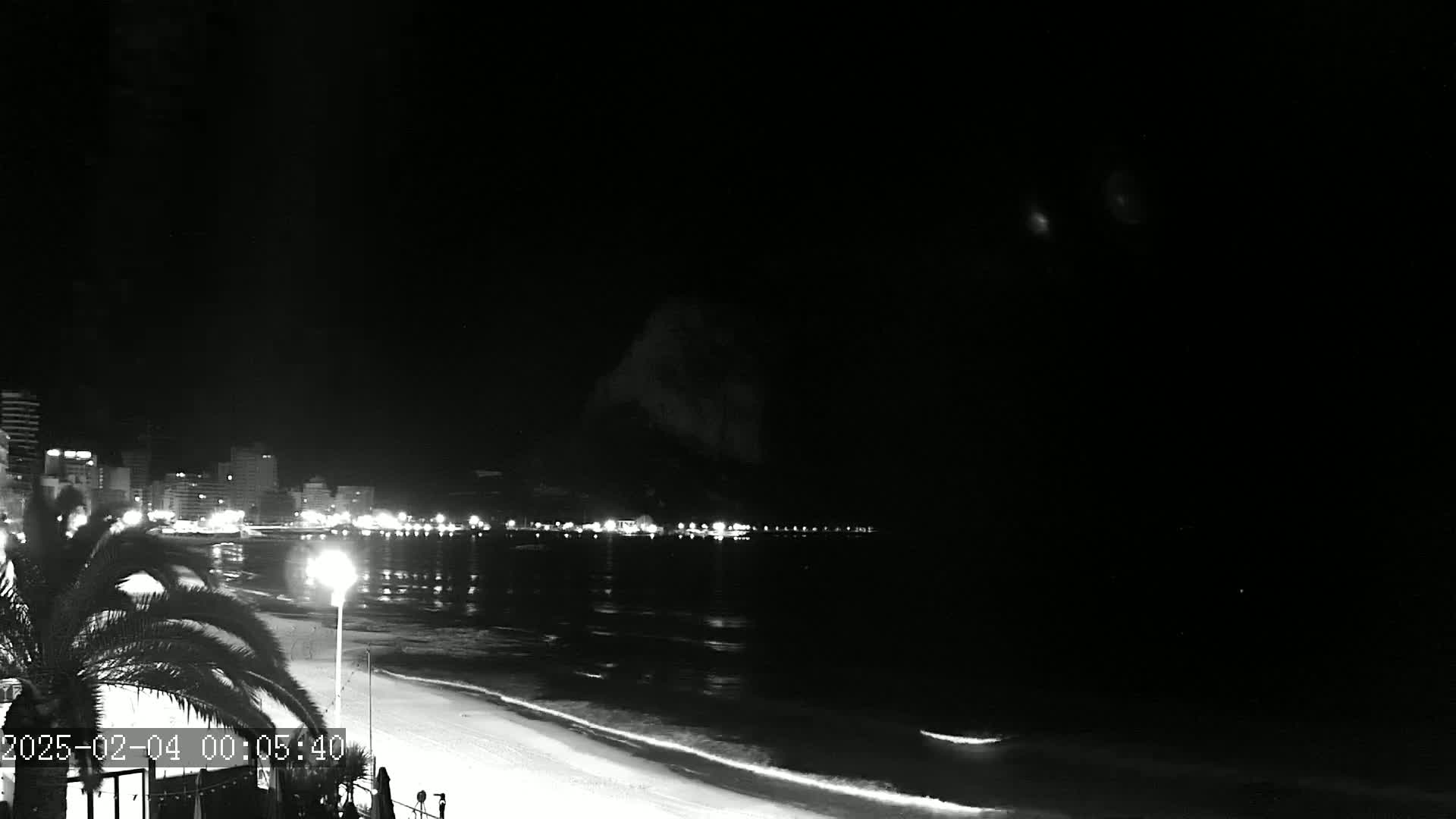 A nighttime, black and white view of a city skyline illuminated along a beach with calm waves under a dark sky.