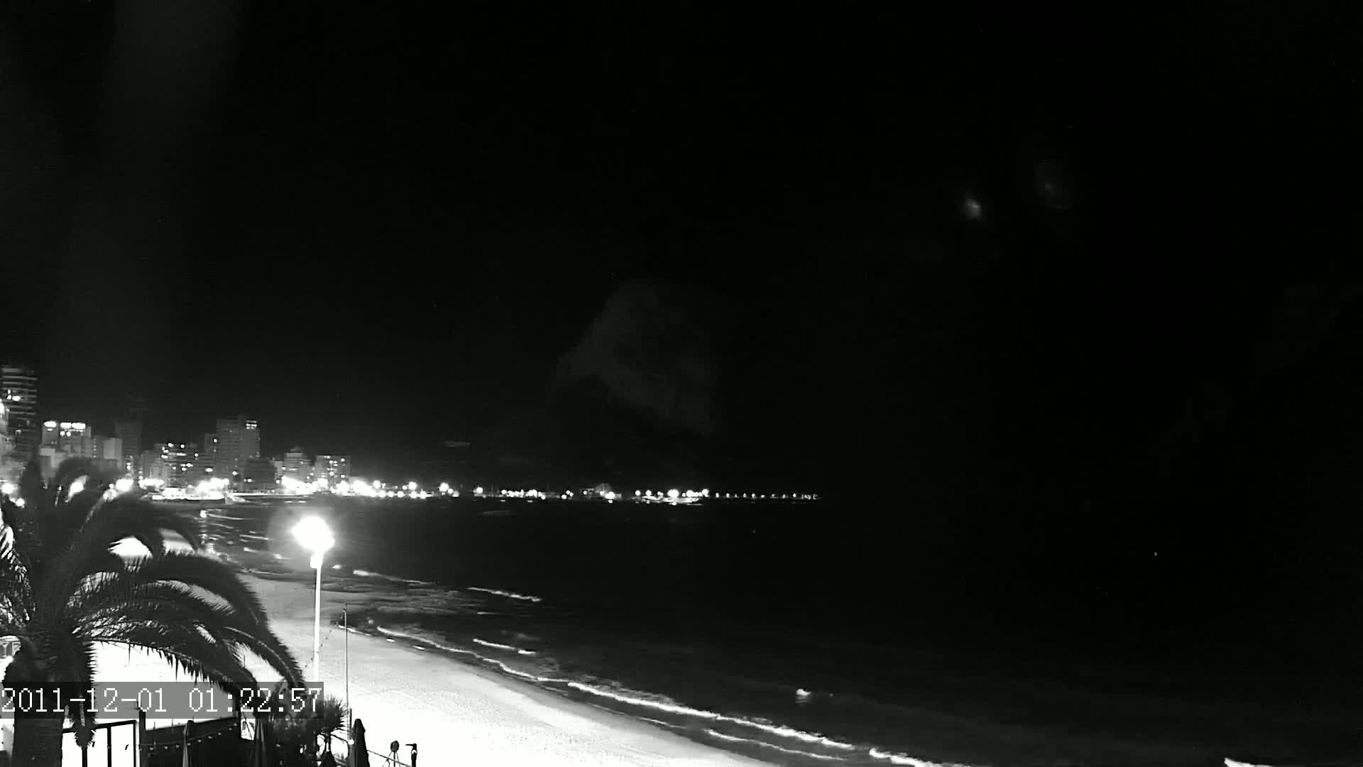 A nighttime, black and white view shows a sandy beach with gentle waves lapping the shore, illuminated by streetlights lining the beachfront buildings and a palm tree in the foreground.