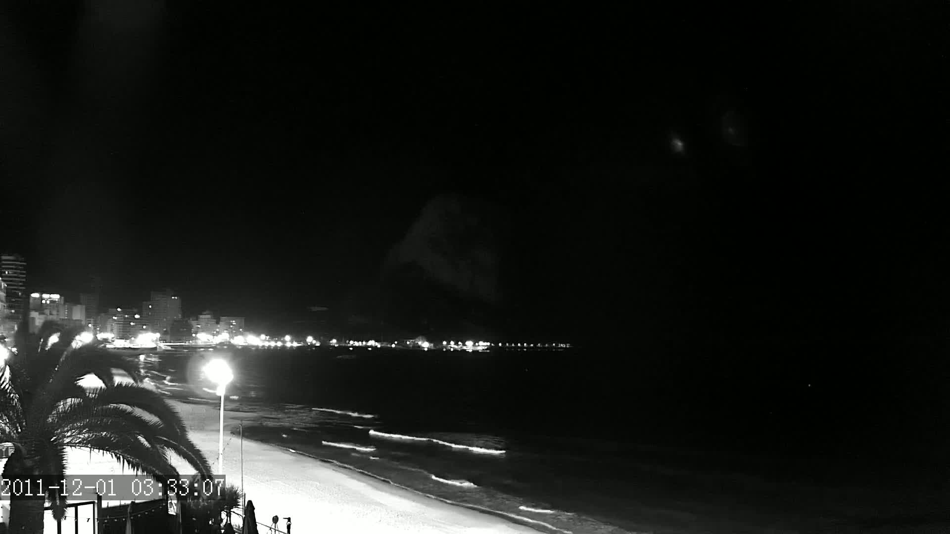 A nighttime, black and white view of a beach with gently lapping waves, illuminated buildings in the distance, and a palm tree in the foreground under a clear, dark sky.