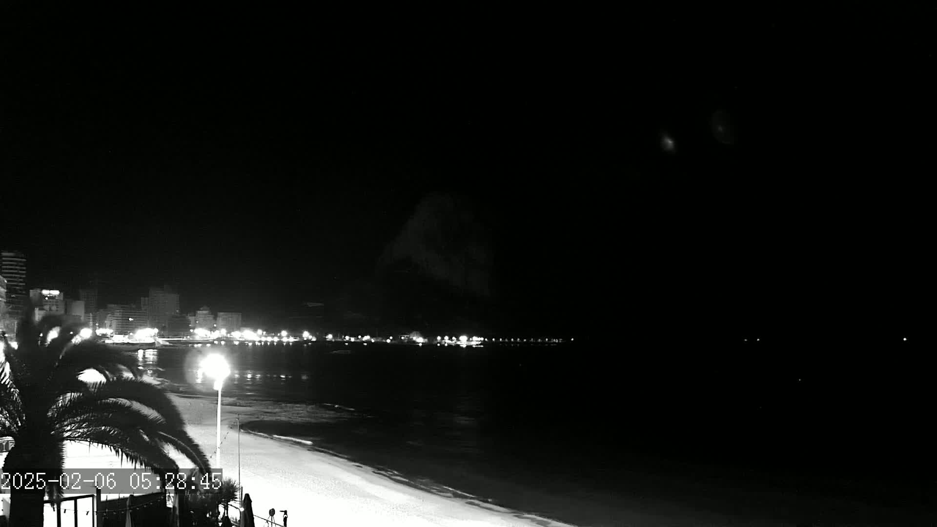 A nighttime, black and white view of a beach with a city skyline in the distance, under a clear sky.