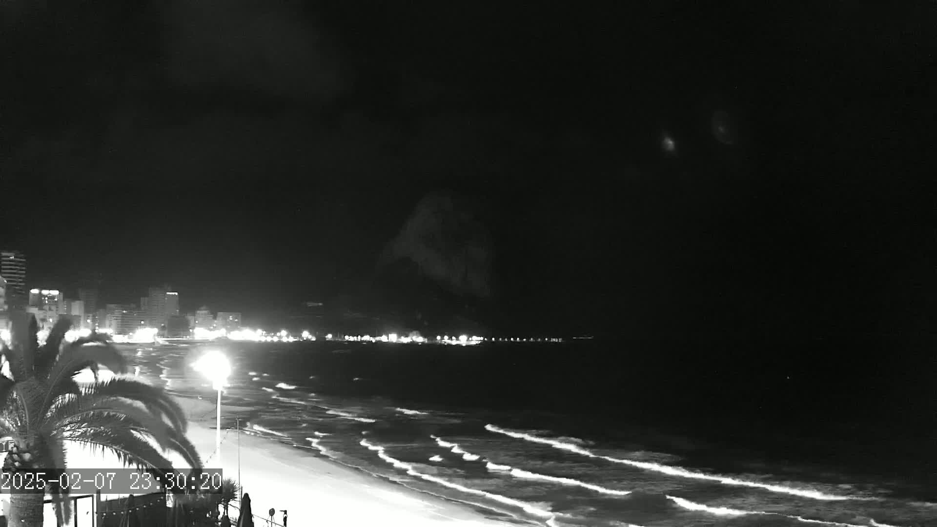 A nighttime beach scene shows gently rolling waves lapping at the shore under a dark sky, with a city skyline and palm trees visible in the foreground.
