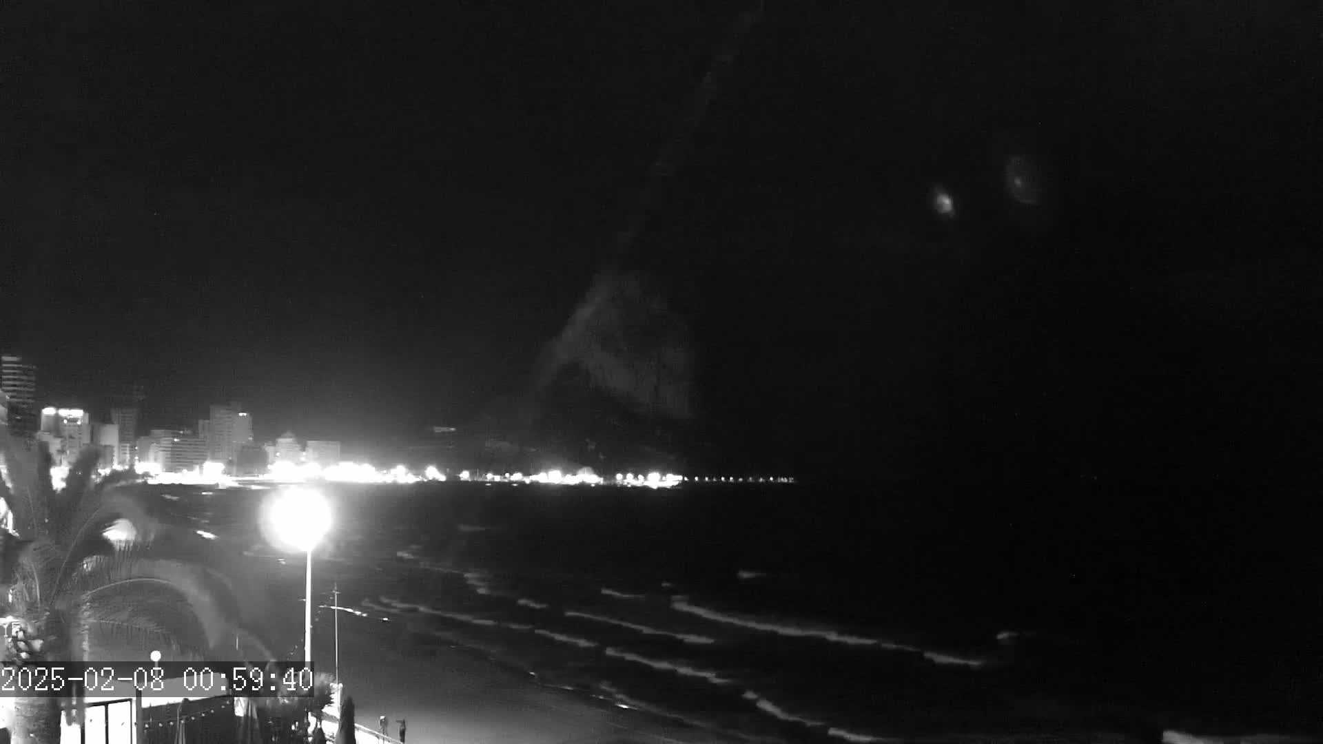 A nighttime beach scene shows a dark ocean with small waves, a city skyline with lights in the distance, and a palm tree in the foreground under a dark sky.