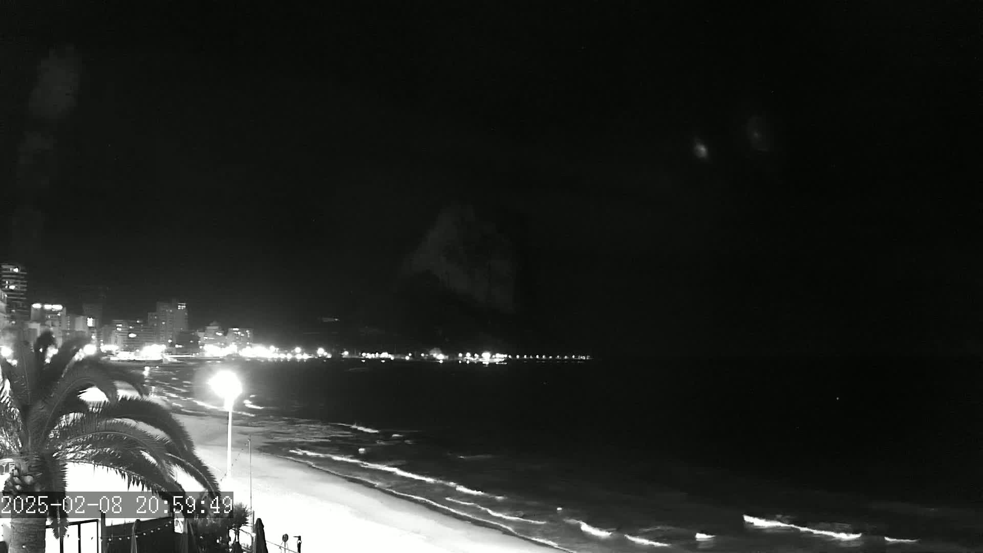 A nighttime beach scene shows a dark ocean with gentle waves lapping a sandy shore, lined with buildings and streetlights under a clear, dark sky.