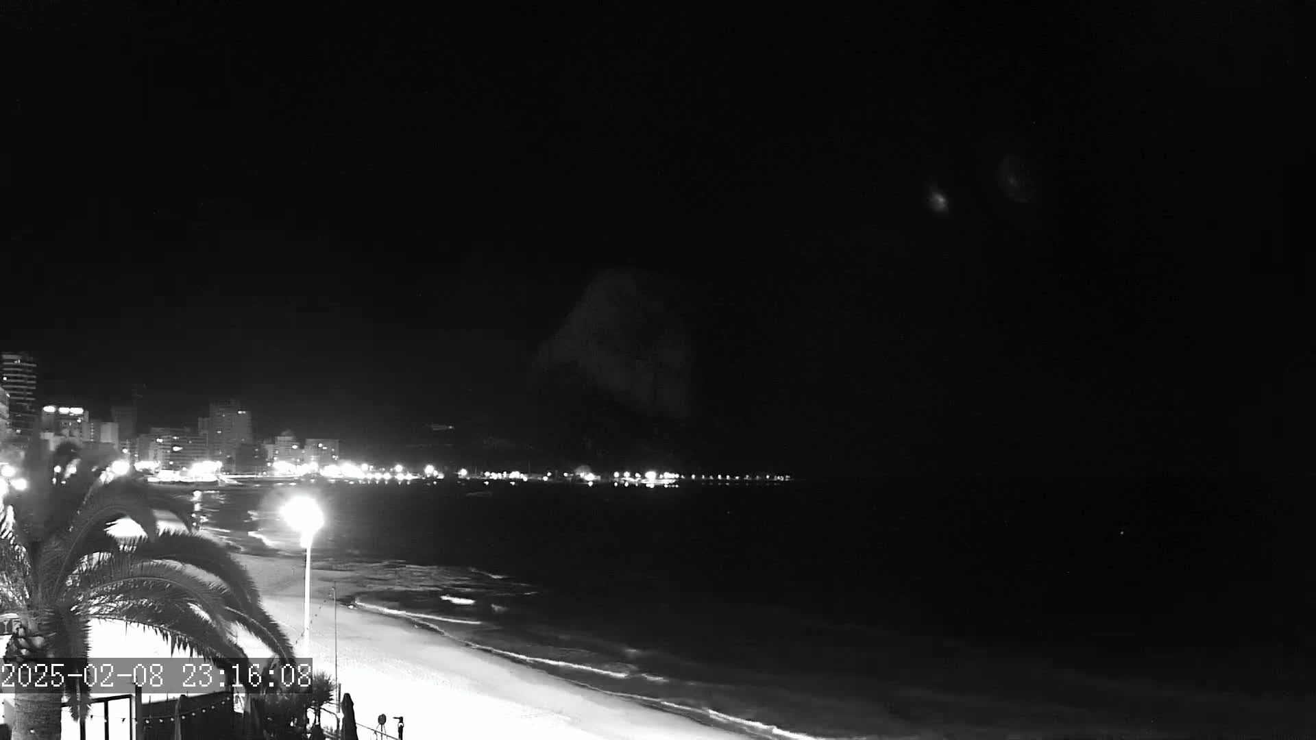 A nighttime, black-and-white view of a beach with a city skyline in the distance and gentle waves lapping the shore.