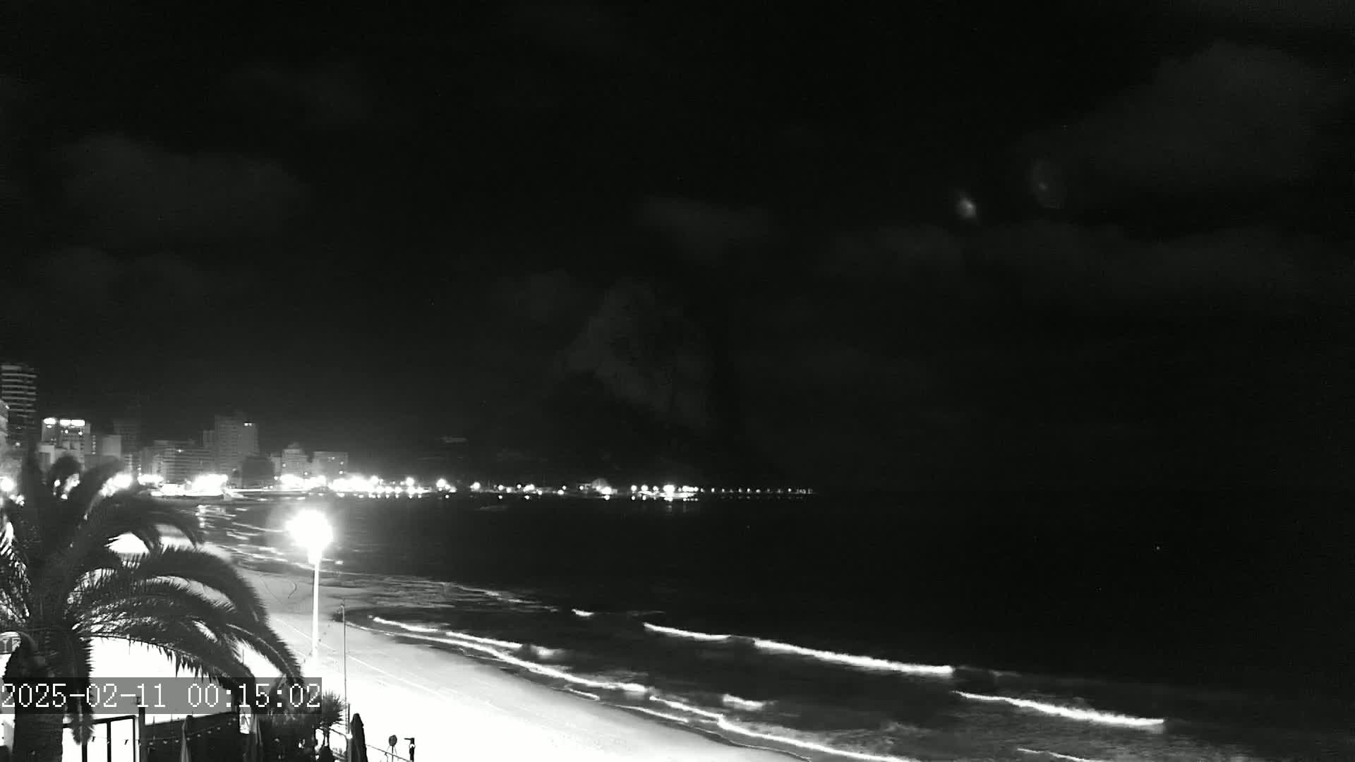 A nighttime beach scene shows a city skyline with lights across the water, gentle waves lapping the shore under a partly cloudy sky.