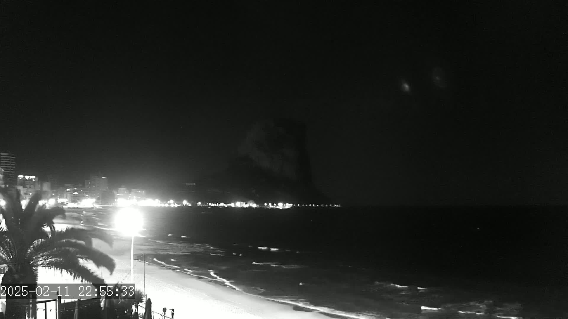 A nighttime beach scene shows a dark ocean with gentle waves lapping a sandy shore, illuminated by city lights in the distance under a clear, dark sky.