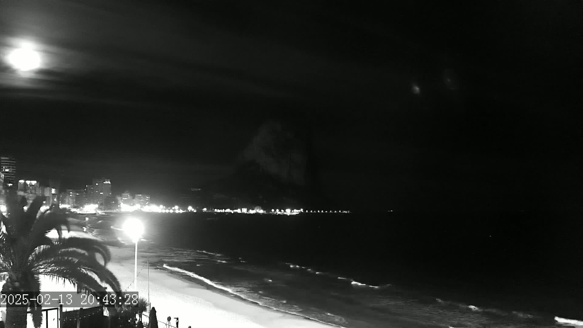 A nighttime, moonlit view of a beach with gentle waves, a coastline with buildings, and a palm tree in the foreground.