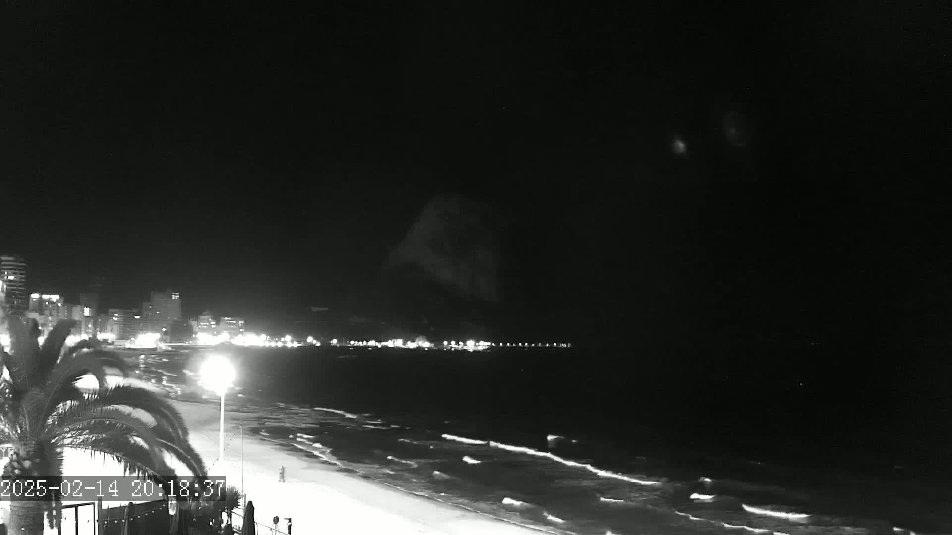 A nighttime, black and white view shows a beach with gentle waves lapping the shore, under a clear, dark sky, and a city skyline illuminated in the distance.