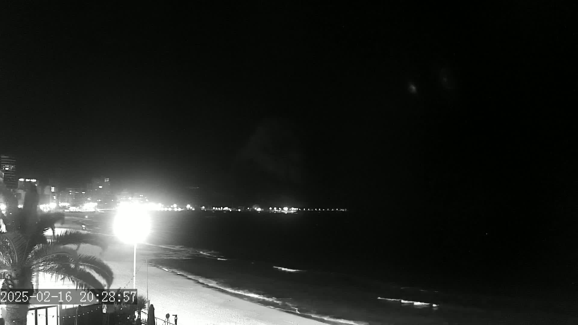 A nighttime beach scene shows a dark ocean with gentle waves lapping a sandy shore, lit by a streetlight and the distant glow of buildings under a clear sky.
