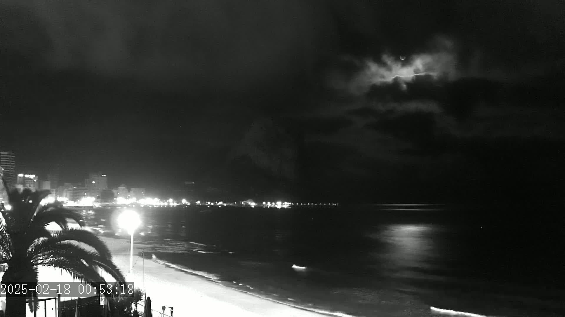 A nighttime, cloudy view shows a moonlit beach with a city skyline in the distance, palm trees in the foreground, and a calm ocean.