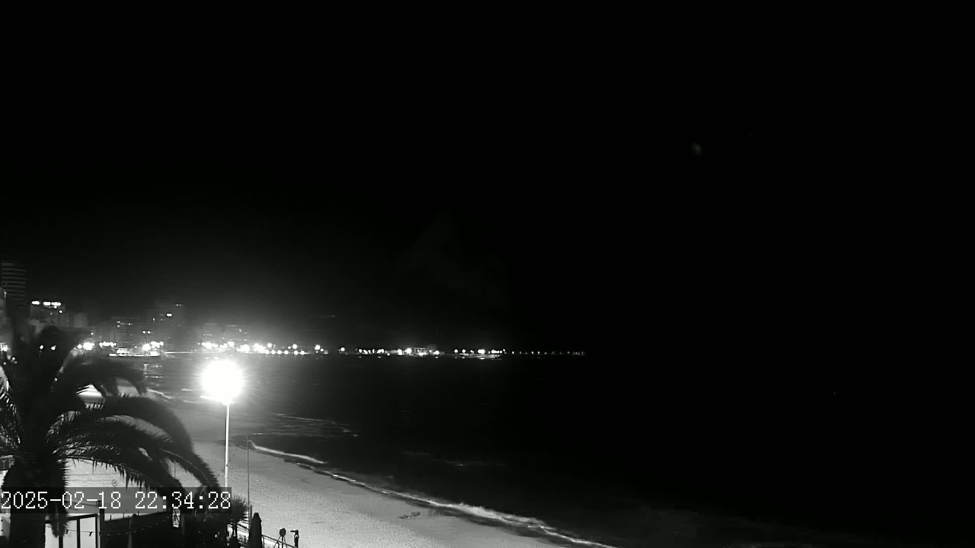 A nighttime, black and white view of a beach with a city skyline in the distance, illuminated by streetlights.