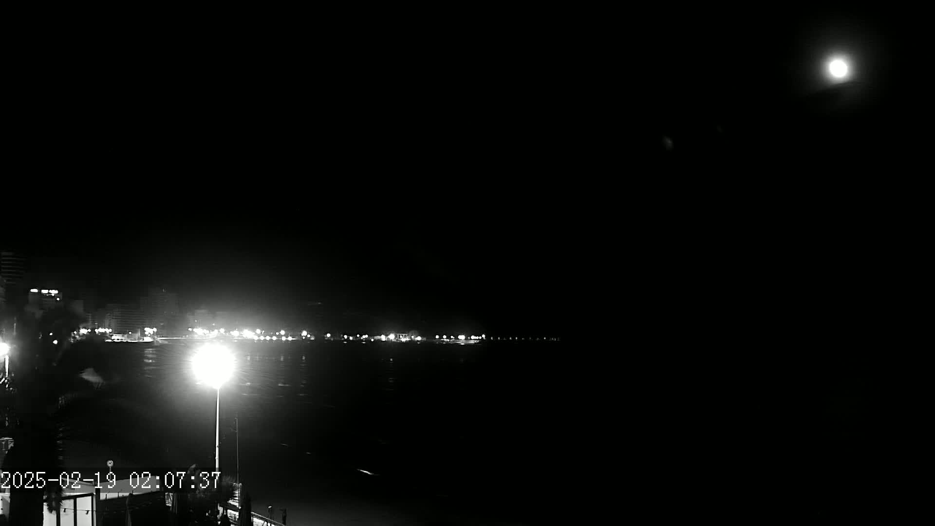 A bright moon illuminates a nighttime coastal scene with a city's lights visible in the distance across the water.