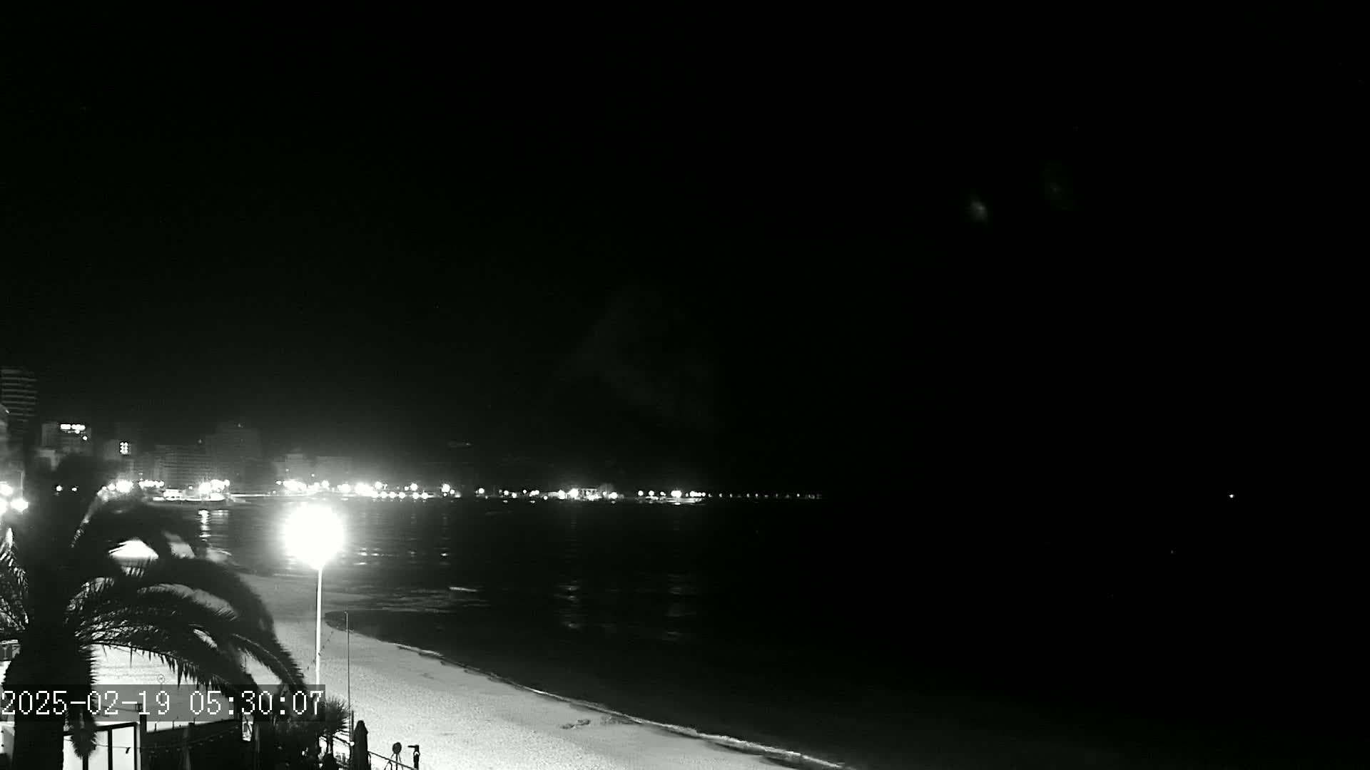 A nighttime view of a beach with a city skyline in the distance under a dark sky.