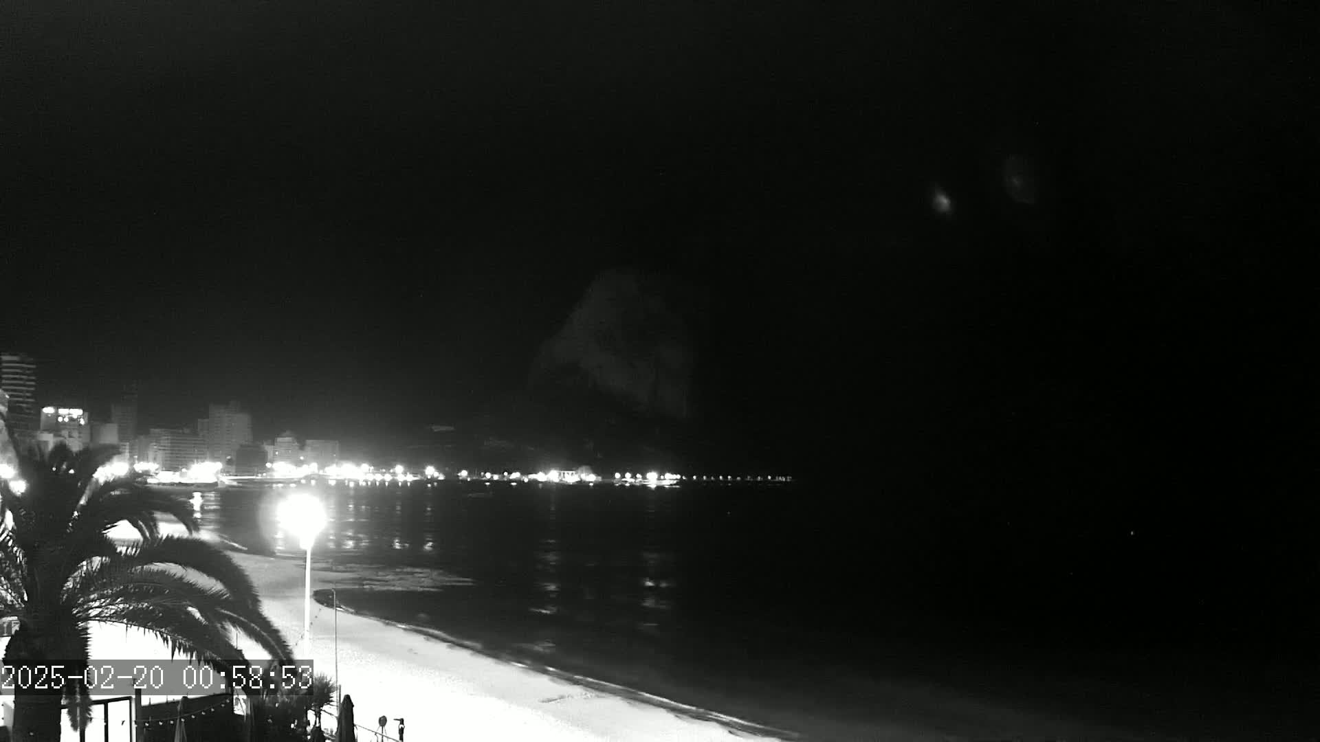 A nighttime beach scene shows a dark, calm ocean reflecting city lights across a sandy shore, with a palm tree in the foreground under a clear, dark sky.