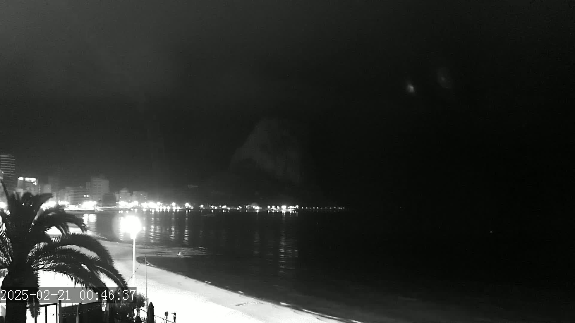 A nighttime, black and white view shows a mostly dark beach with a calm ocean, a palm tree in the foreground, and a city skyline faintly illuminated in the distance under a cloudy sky.