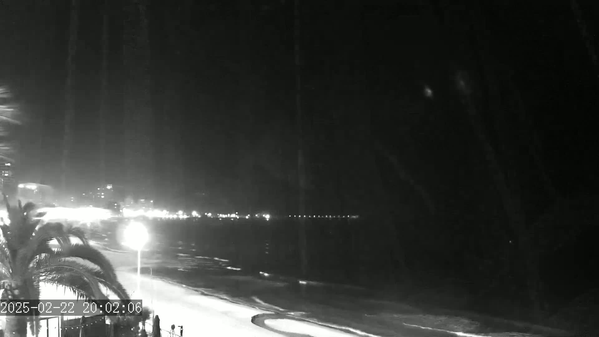 A nighttime beach scene shows a dark ocean with light waves under a dark, possibly snowy, sky, with distant lights illuminating a shoreline and palm trees in the foreground.