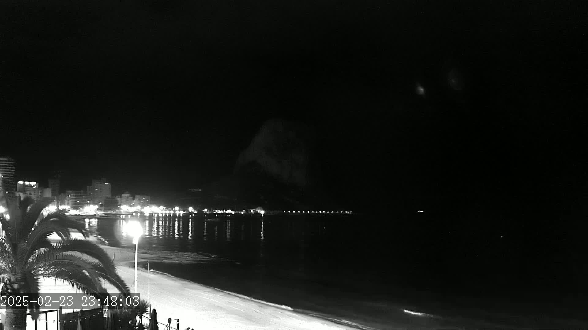 A nighttime beach scene shows a dark, calm ocean reflecting the lights of a distant city skyline under a clear, dark sky.