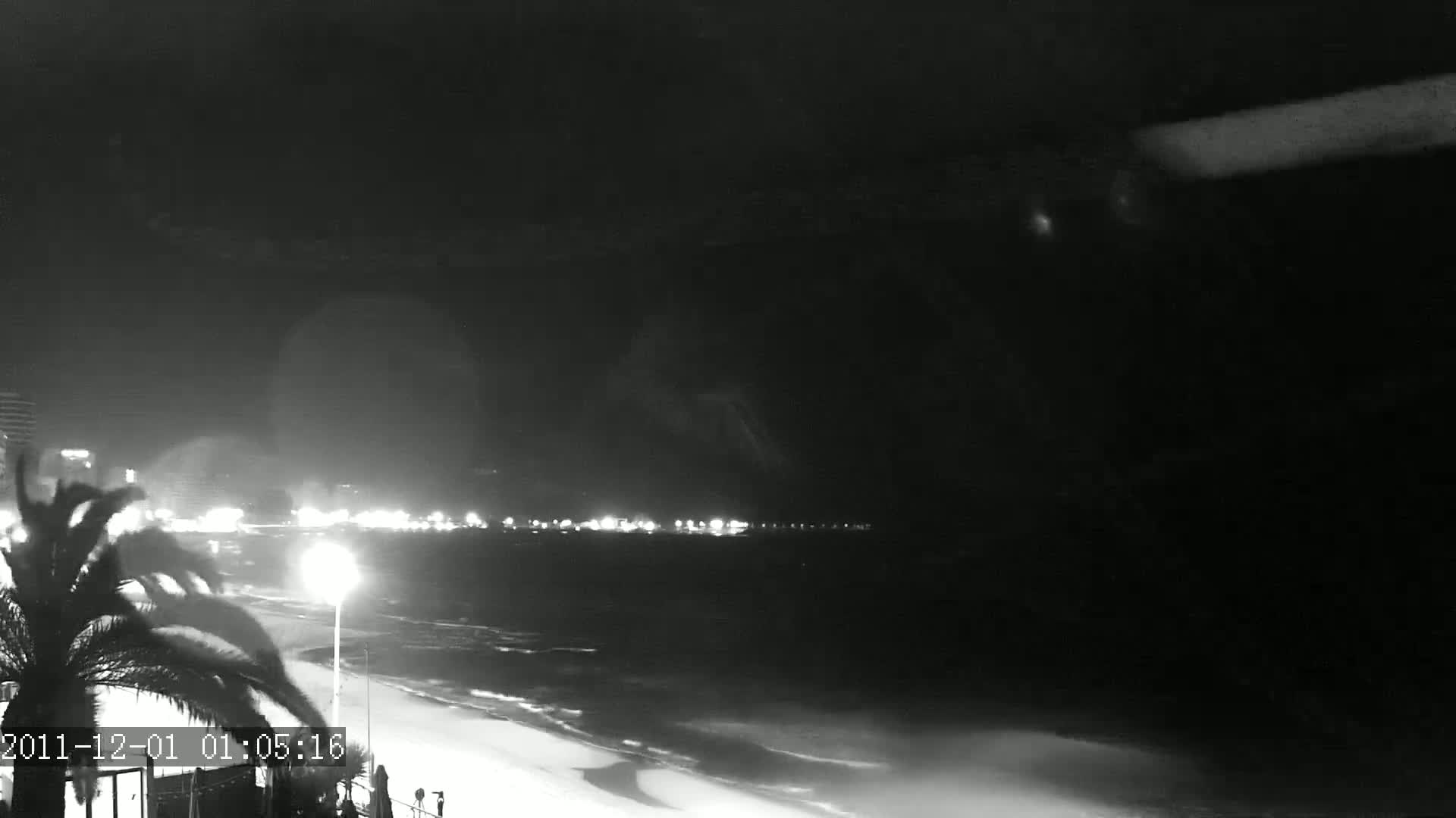 A nighttime, black and white view of a beach with gently lapping waves, a dimly lit shoreline, and palm trees in the foreground under a dark, cloudy sky.
