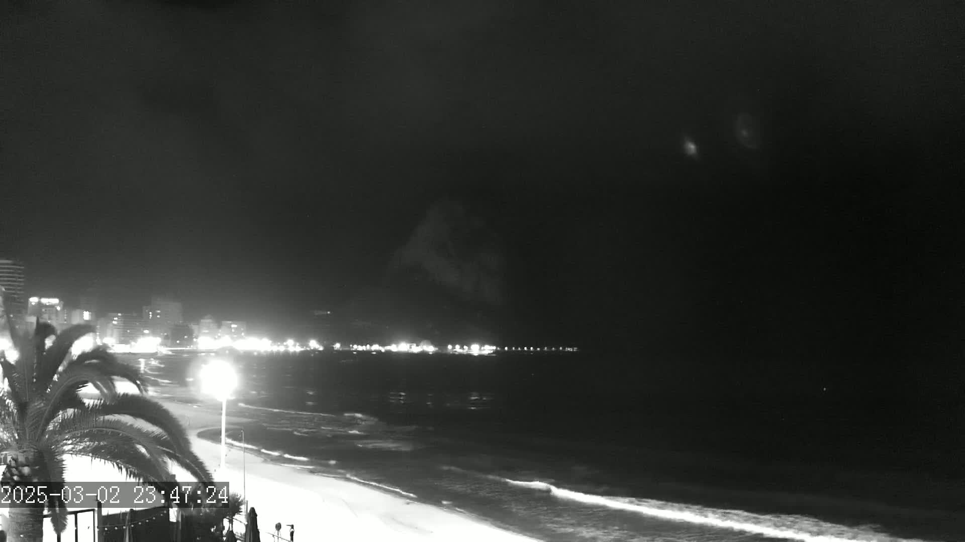 A nighttime beach scene shows gently lapping waves on a sandy shore, with a city skyline and palm trees visible in the background under a dark, mostly clear sky.