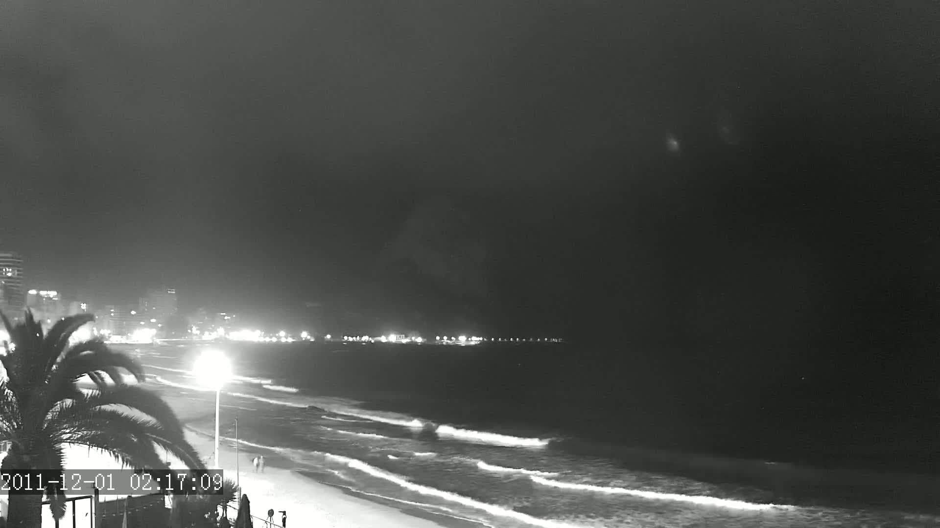 A nighttime, black and white view of a beach with gently rolling waves, a palm tree in the foreground, and city lights in the distance under a dark sky.
