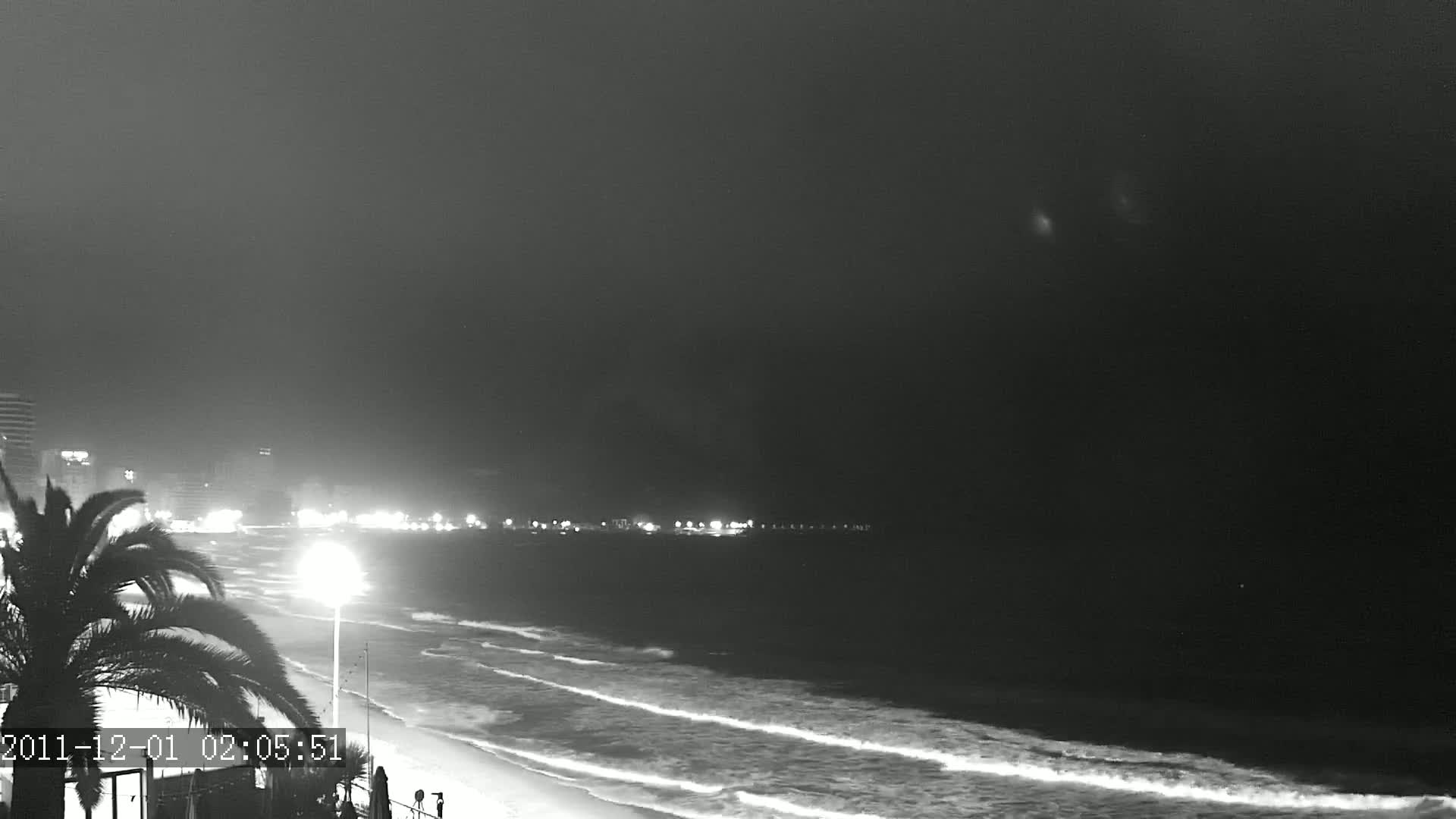 A nighttime beach scene shows gently rolling waves lapping the shore under a dark, overcast sky, with a palm tree and distant city lights visible.