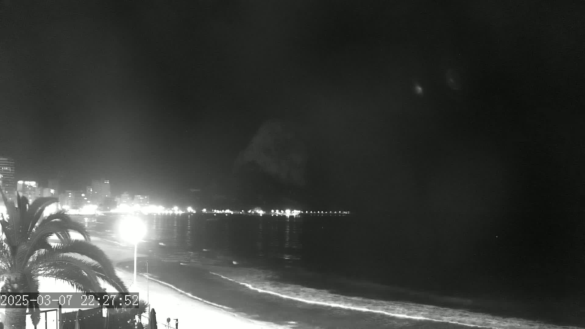 A nighttime beach scene shows a dark ocean with gentle waves lapping the shore, a line of illuminated buildings in the distance, and a palm tree in the foreground under a clear, dark sky.