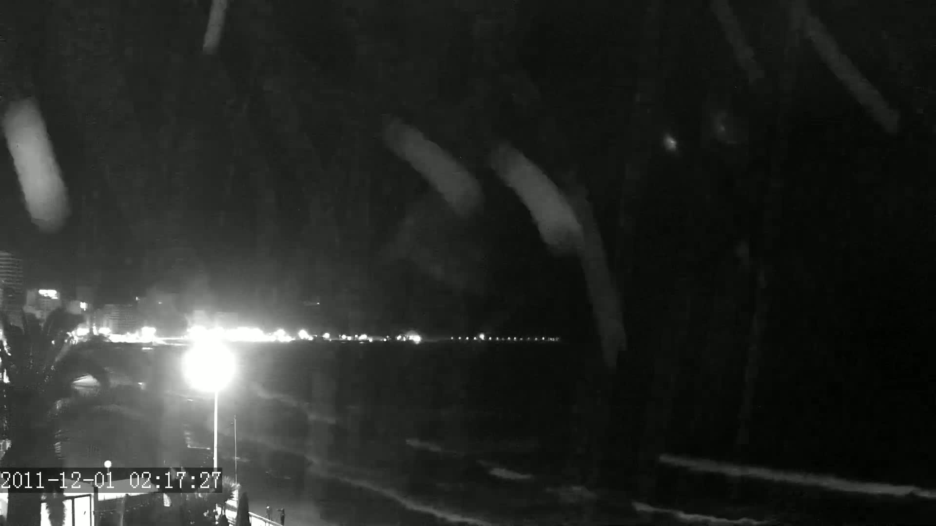 A nighttime, rainy scene shows a shoreline with lights from buildings and street lamps visible through falling rain and palm trees.