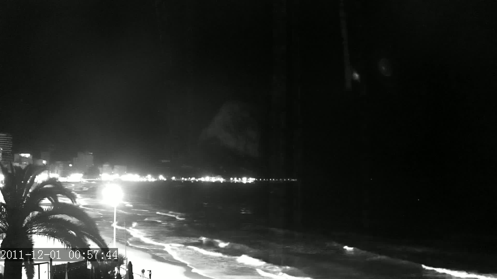 A nighttime, black-and-white view of a beach with gentle waves, a city skyline in the distance, and a palm tree in the foreground.