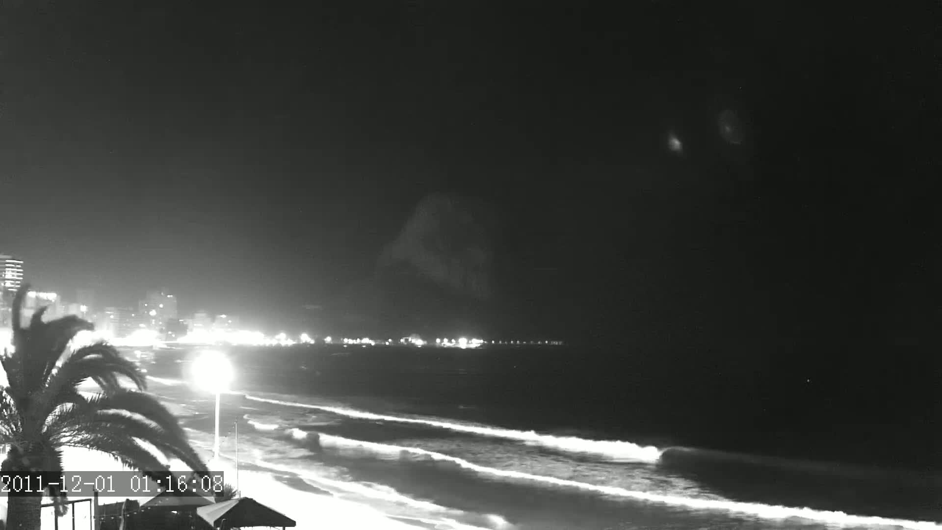 A nighttime, black and white view of a beach with waves gently lapping the shore, illuminated by city lights in the distance under a dark sky.