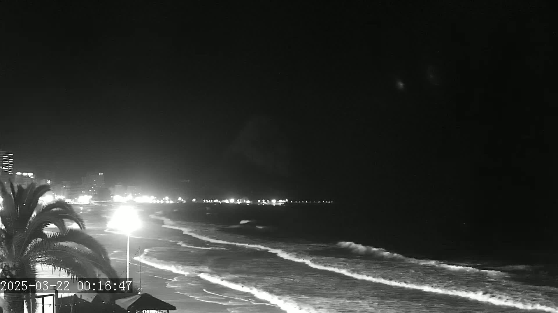 A nighttime beach scene shows gently rolling waves lapping the shore under a dark sky, with a palm tree and city lights in the distance.