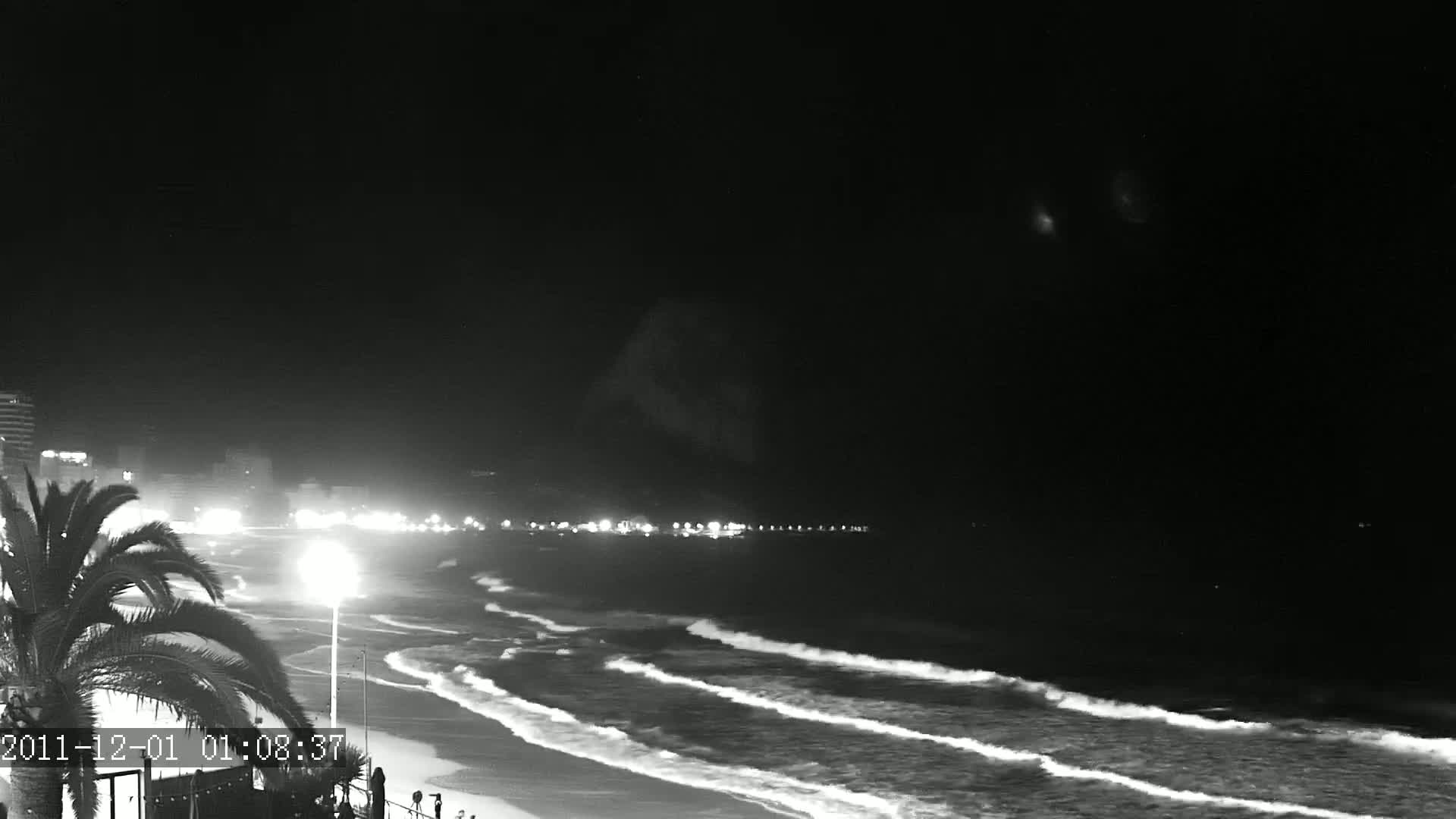 A nighttime, black-and-white view of gently rolling waves on a beach, with a palm tree and illuminated buildings in the background under a clear, dark sky.