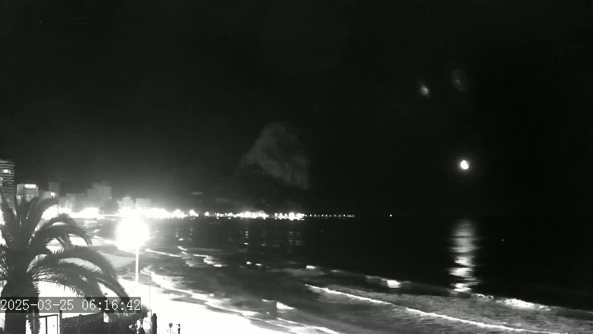 A nighttime beach scene shows a city skyline with lights across a dark ocean under a mostly clear sky with a bright moon.