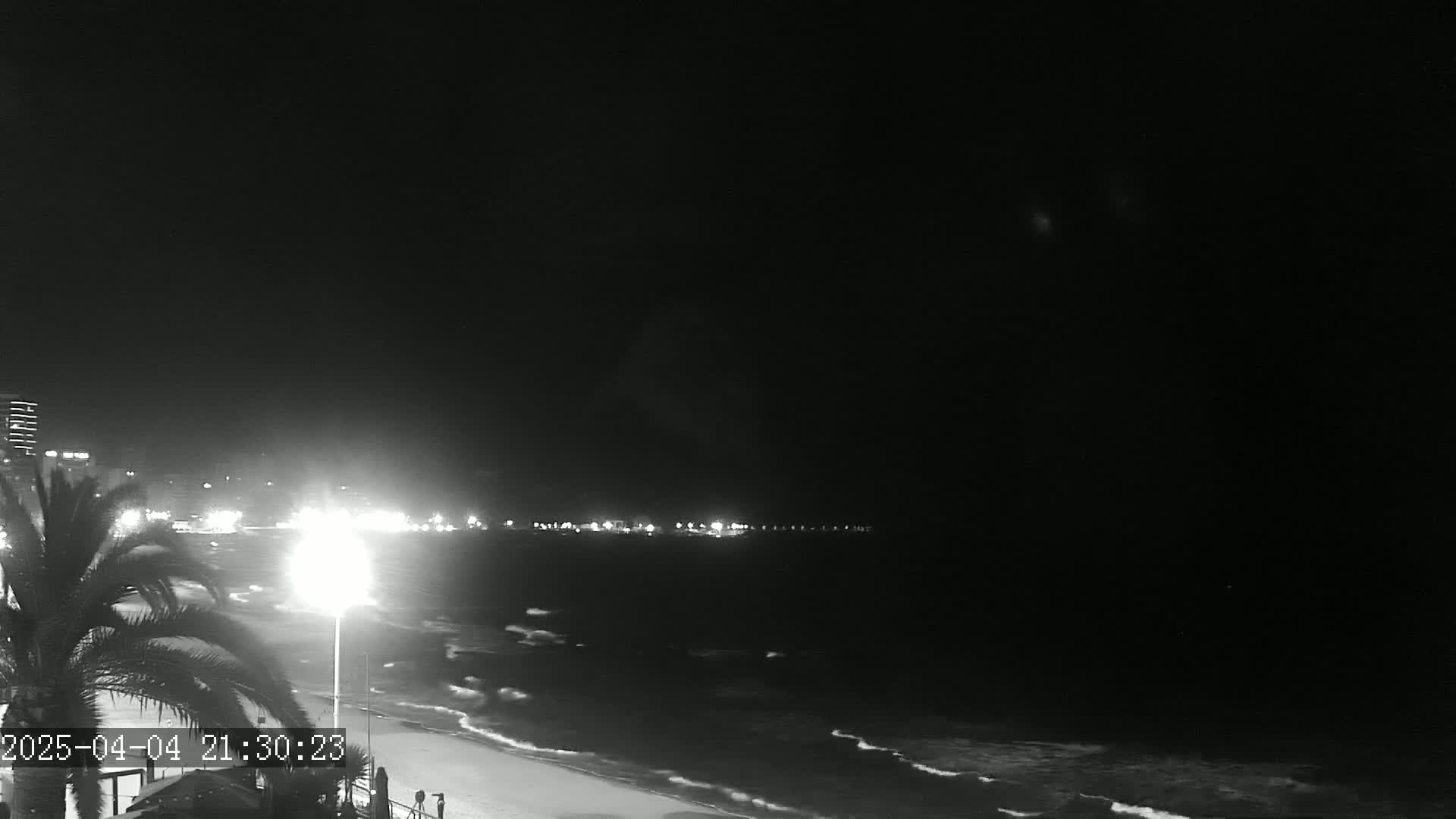 A nighttime beach scene shows a dark sky, gently rolling waves, a lit shoreline with palm trees, and distant city lights.