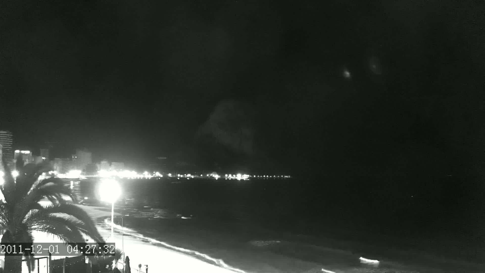 A nighttime, black and white view of a beach with city lights in the distance and a palm tree in the foreground.