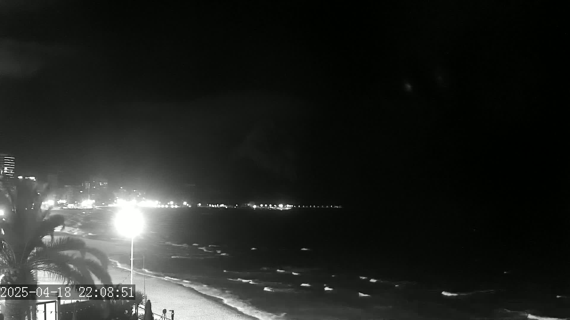 A nighttime, black-and-white view shows a dark ocean with small waves lapping a beach, under a clear, dark sky, with city lights visible in the distance.