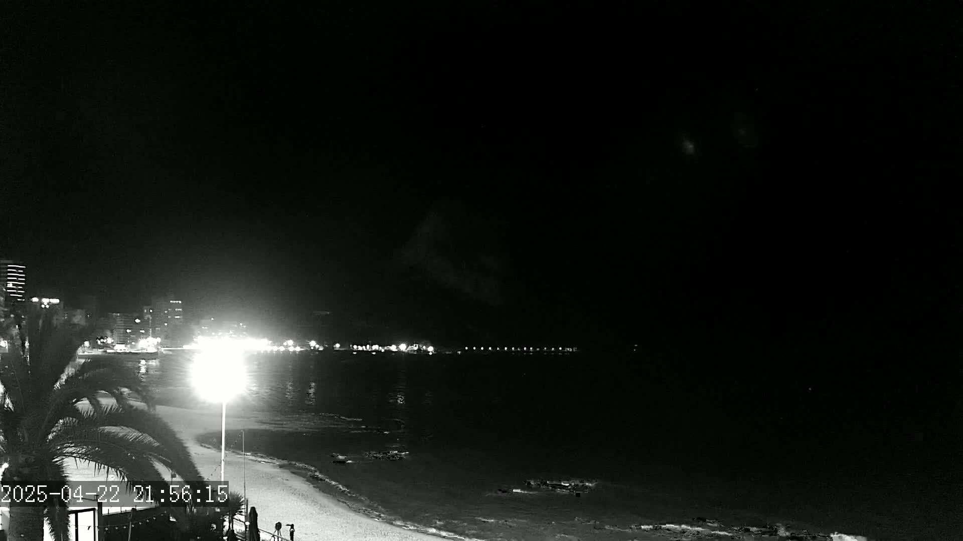 A nighttime beach scene shows a calm, dark body of water reflecting the lights of a city skyline across the shore, with a palm tree and a lamppost visible in the foreground.