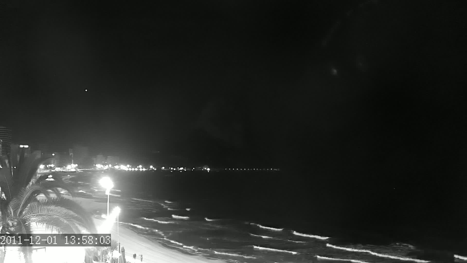 A nighttime, black-and-white view of a beach with gently lapping waves, a shoreline with lights from buildings in the distance, and a palm tree in the foreground.
