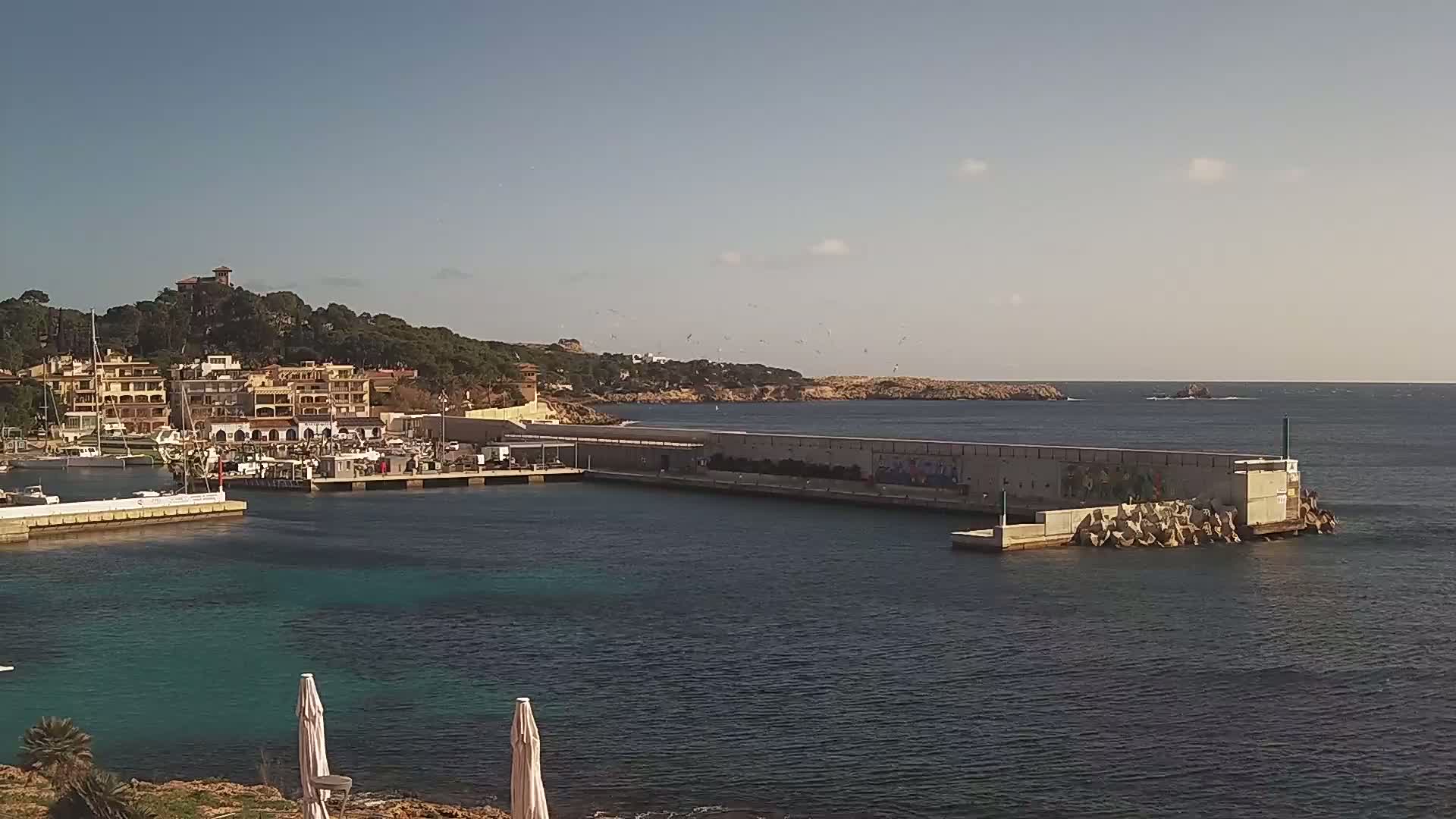 A harbor with docked boats is situated next to a hillside town under a clear, sunny sky.