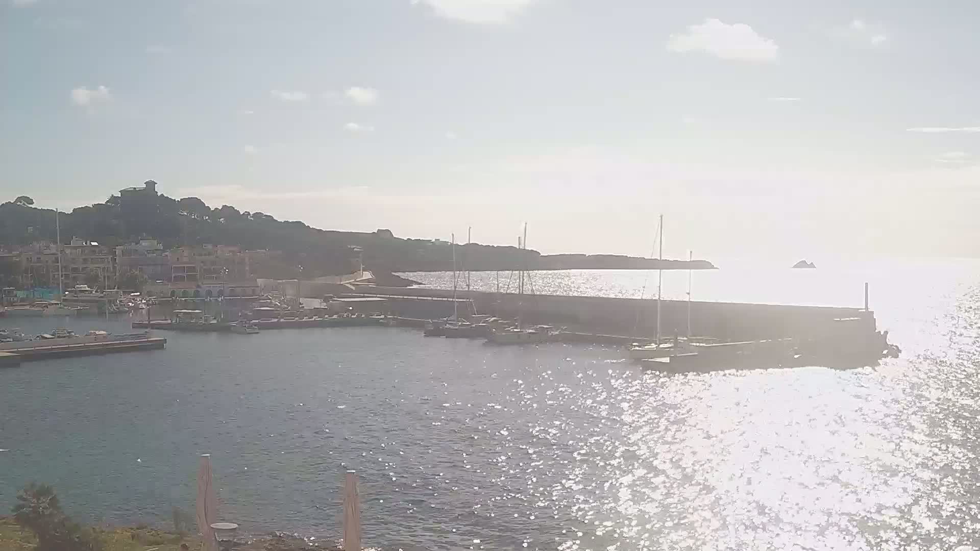 A harbor filled with boats sits next to a town nestled against a hillside under a bright, sunny sky.