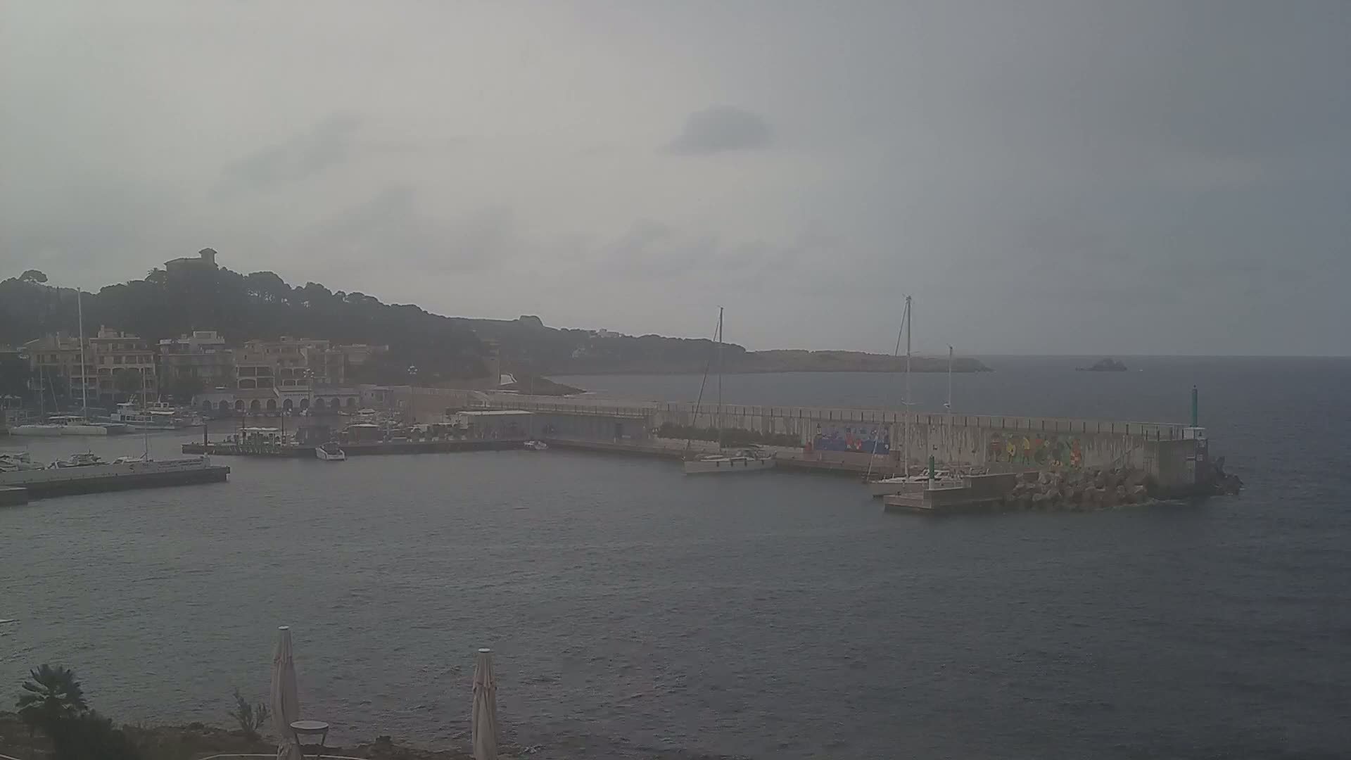 A harbor with several boats is visible on an overcast day, with a hill covered in vegetation in the background.