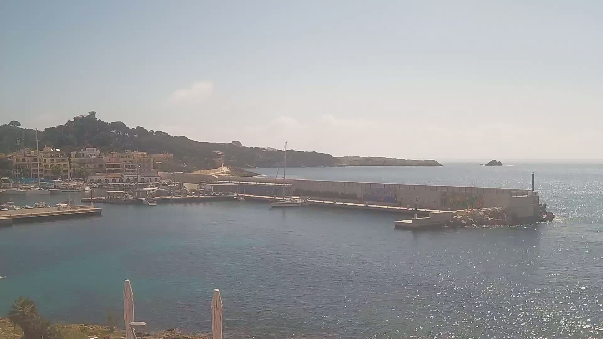 A marina with numerous boats is nestled between a hillside of buildings and a long seawall on a sunny day.