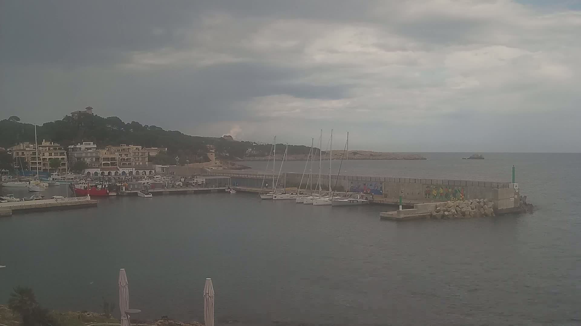 A harbor filled with boats is nestled beside a hillside town under an overcast sky.
