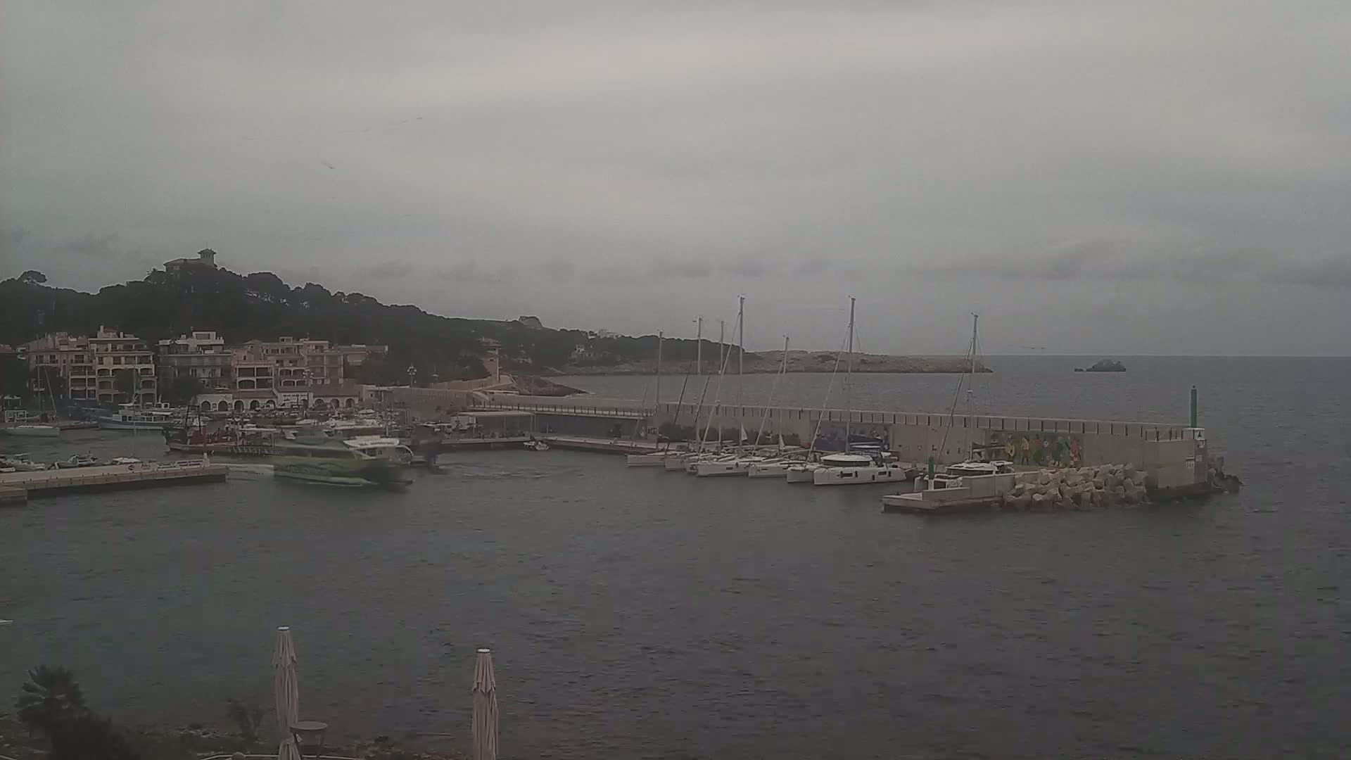 A harbor filled with boats is situated near a hillside of buildings under an overcast sky.