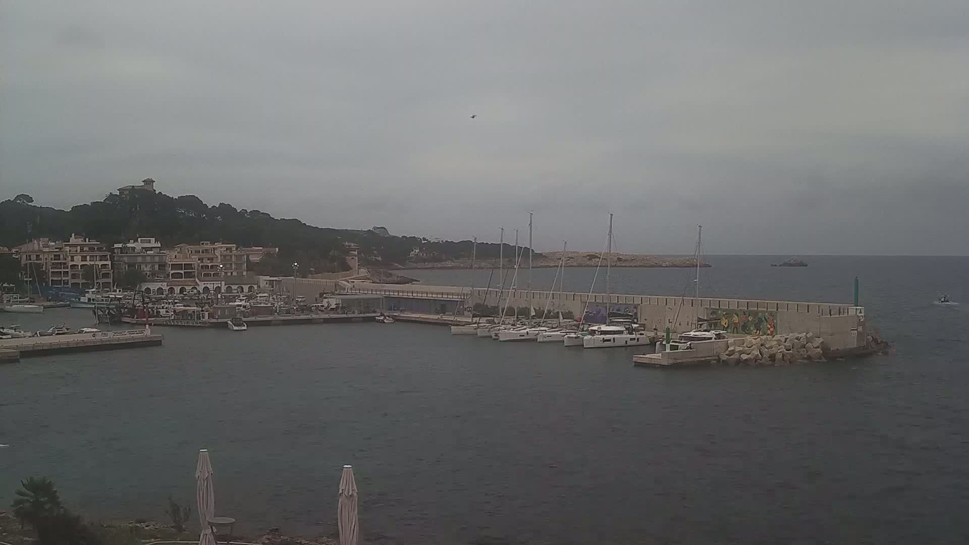 A harbor filled with sailboats and motorboats is situated under an overcast sky next to a hillside town.