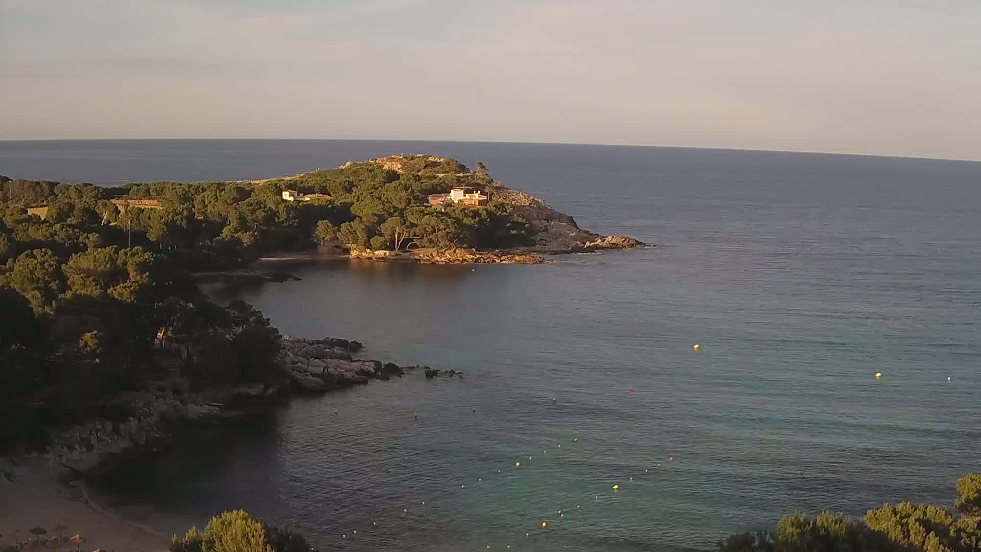 A tranquil coastal scene under a clear sky shows a small cove with a sandy beach, surrounded by dark green trees and rocky outcrops, meeting a calm, clear ocean.