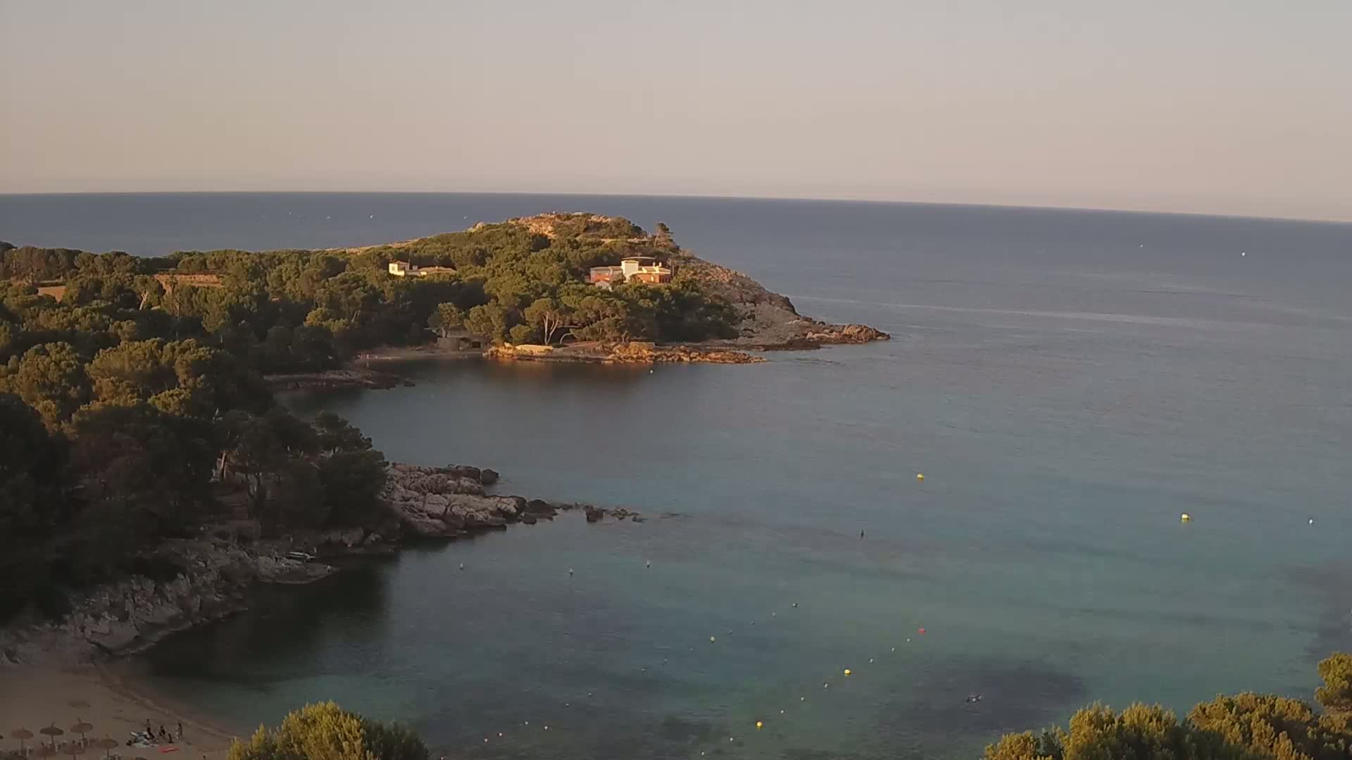 A tranquil cove with calm, clear water is nestled between verdant, pine-covered hills under a clear sky.